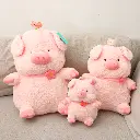 0Y8A2655.webp