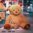 σ░║σ»╕200cm