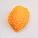 P1033594