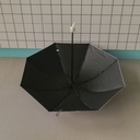 P1042338