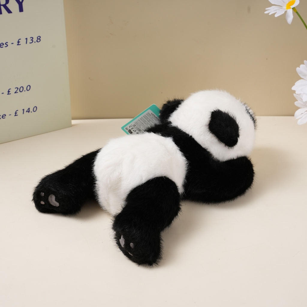 DSC08661