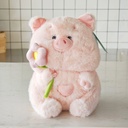 IMG_20250523_141247