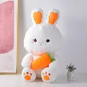 2L3A2172.webp