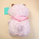 2L3A8079.webp