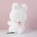 0Y8A1182.webp
