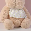 0Y8A5218.webp