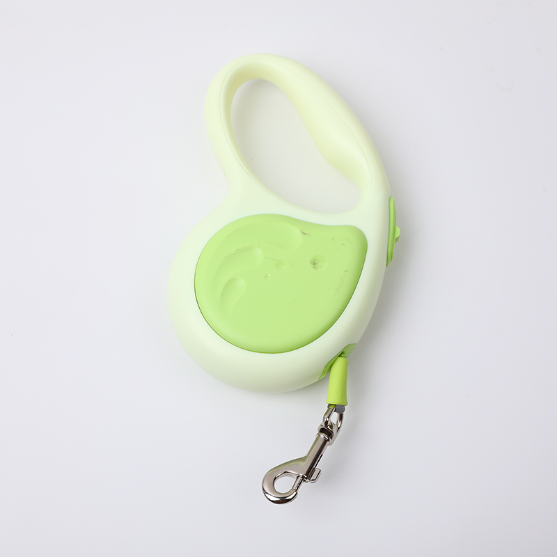 3 meter little whale leash