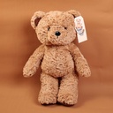 TEDDY ISLAND series dark colour standing bear plush doll-45CM