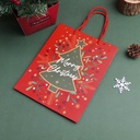 Christmas Series - Christmas Tree Gift Bag Size M