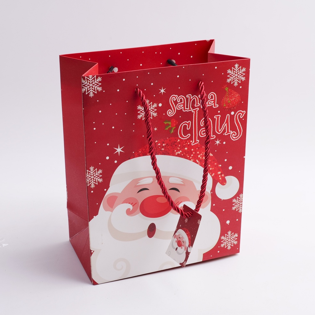 Christmas Series - Santa Claus Vertical Large Gift Bag