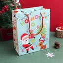 Christmas Series - Santa Claus Gift Bag - Blue Size L