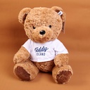 TEDDY ISLAND dark colour sitting bear plush doll with blue T-shirt-35CM