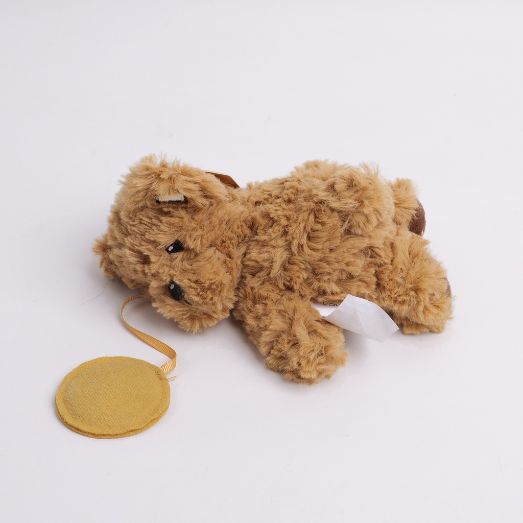 TEDDY ISLAND Series Crooked Head Classic Multi-functional Teddy Bear