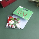 DIY Christmas Series - Bead Stringing Set - Santa Claus
