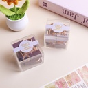 Acrylic Small Square Boxed Long Tail Clips 25mm (8 Pcs)