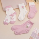 Two Pairs Pack of Pink Children's Mid-calf Socks