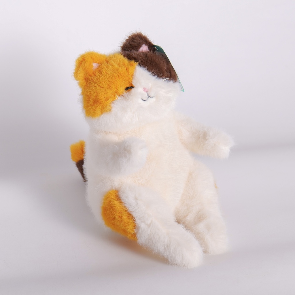 HY-MR8006 Chubby Cat Plush Toy – 31cm (Plastic Eyes)