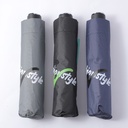 Sports leisure business umbrella