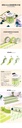 Green 15MM Japanese paper tape - 3 PCS