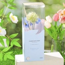 Floral Tales Flameless Aroma Diffuser Series – Gardenia Oolong 150ml